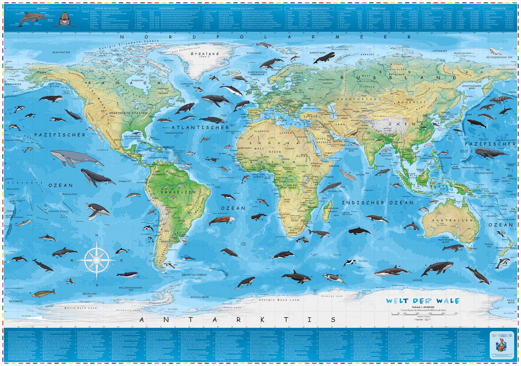 COLUMBUS Kinderweltkarte Welt der Wale