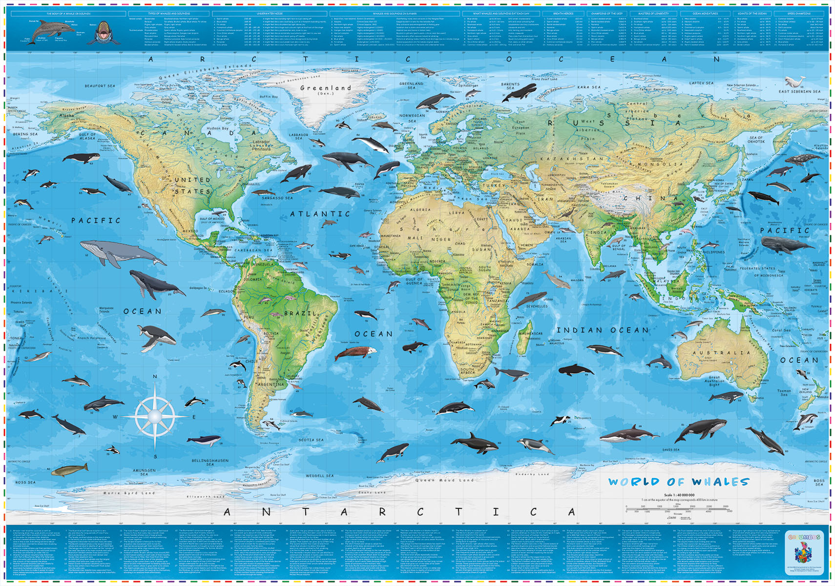 COLUMBUS Kinderweltkarte Welt der Wale